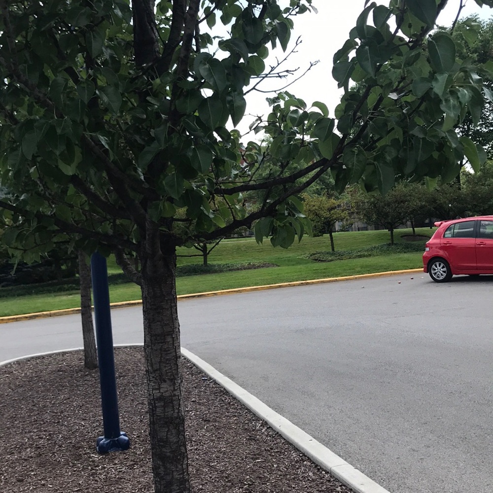 Meet your Posher, Will